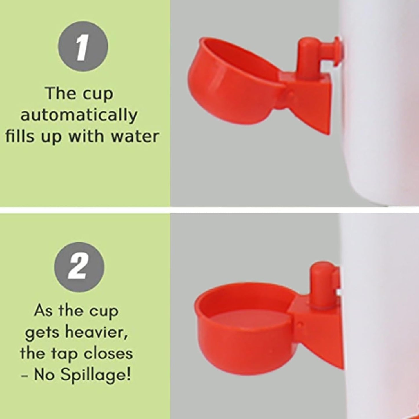 Chicken Feeder Water Dispenser Automatic Poultry Breeding Watering Feeding Container Set
