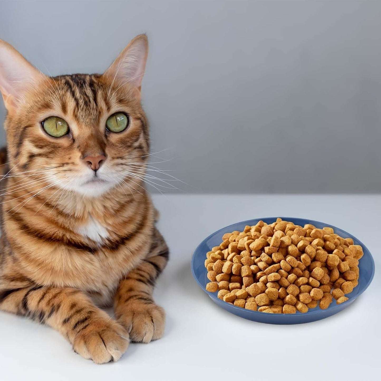 8pcs Cat Food Bowls, 6 inch Whisker Fatigue Cat Bowls for Food and Water Wheat Straw Shallow Wide Cat Dish Plates Colorful Kittens Wet Feeding Watering Tray for Pet Cats Dogs
