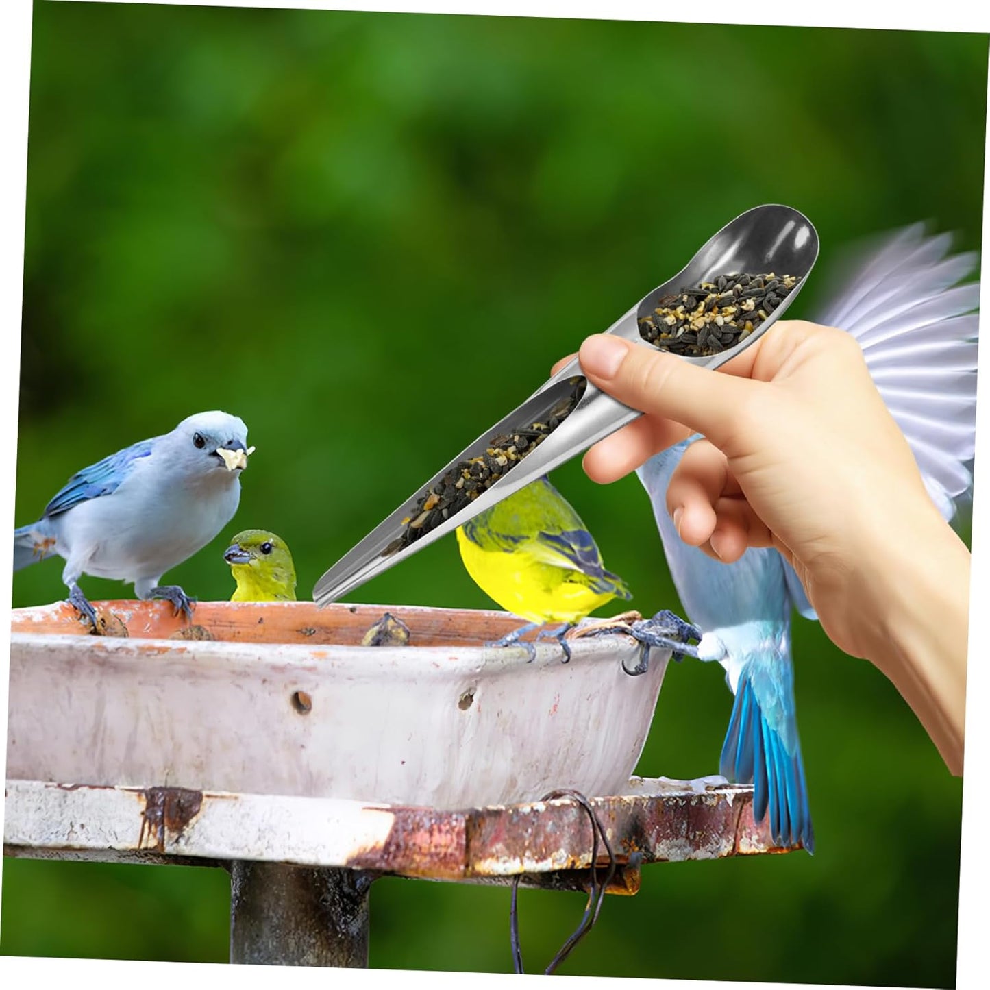 WOONEKY 2pcs Bird Food Spoon Food Shovel Bird Feeding Tools Pet Food Spoon Parrot Feeding Accessory Bird Feeding Watering Supplies Bird Food Scoops Bird Feeding and Watering Utensils
