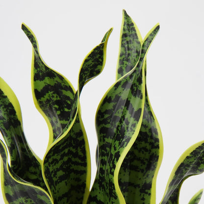 Artificial Snake Plant Potted Faux Sansevieria Trifasciata Plants, 17" Tropical Fake Plants in White Pots for Home Office Desk Outdoor Décor Housewarming Gift