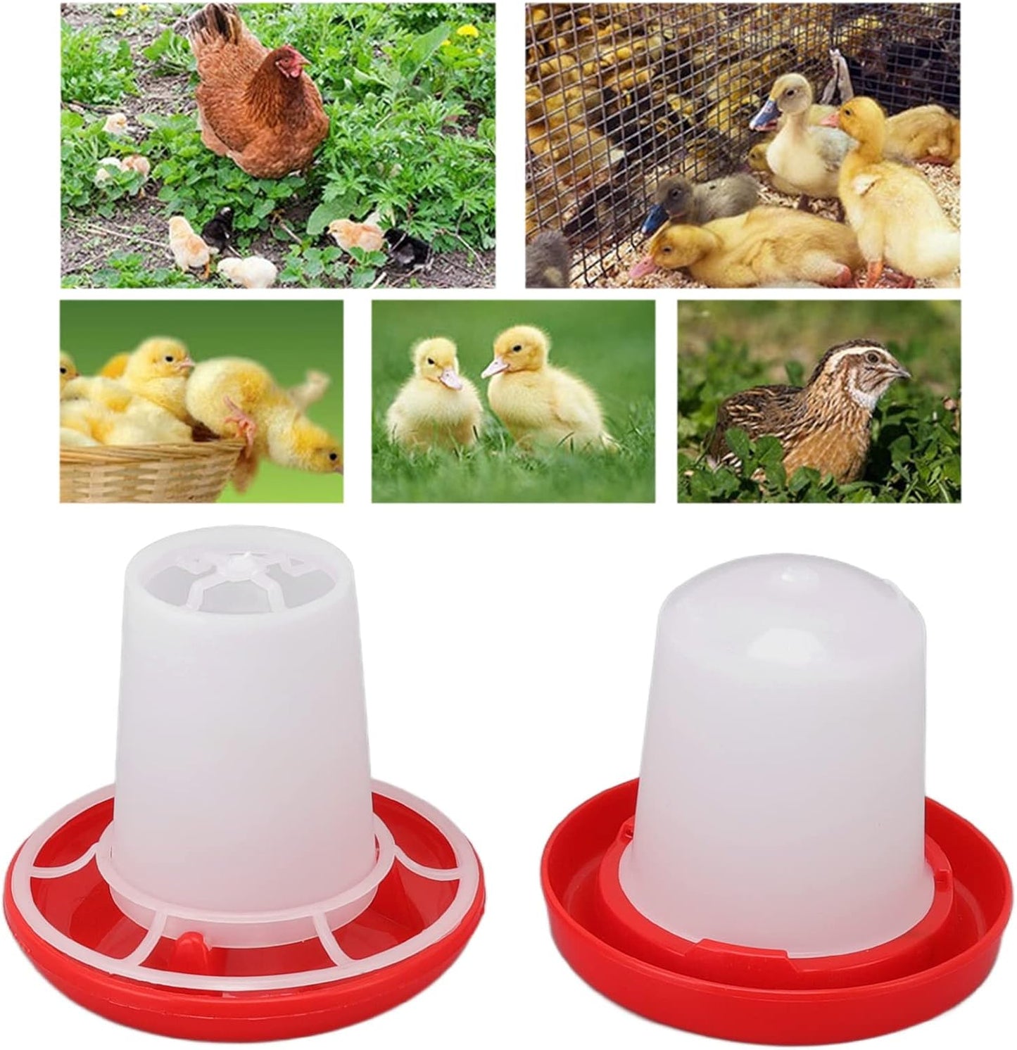 Chick Feeder and Drinker Kit, Easy Clean Plastic Automatic Feeding and Watering Feeder for Chicks