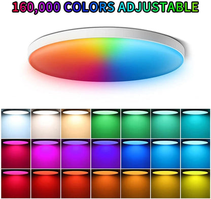 24W WiFi Smart Ceiling Light Fixture Ultra-Thin with Alexa Google Home Voice Control 220V Dimmable Light Fixtures 3000K-6500K Color Temperature for Bedroom Living Room Modern Style (Black)