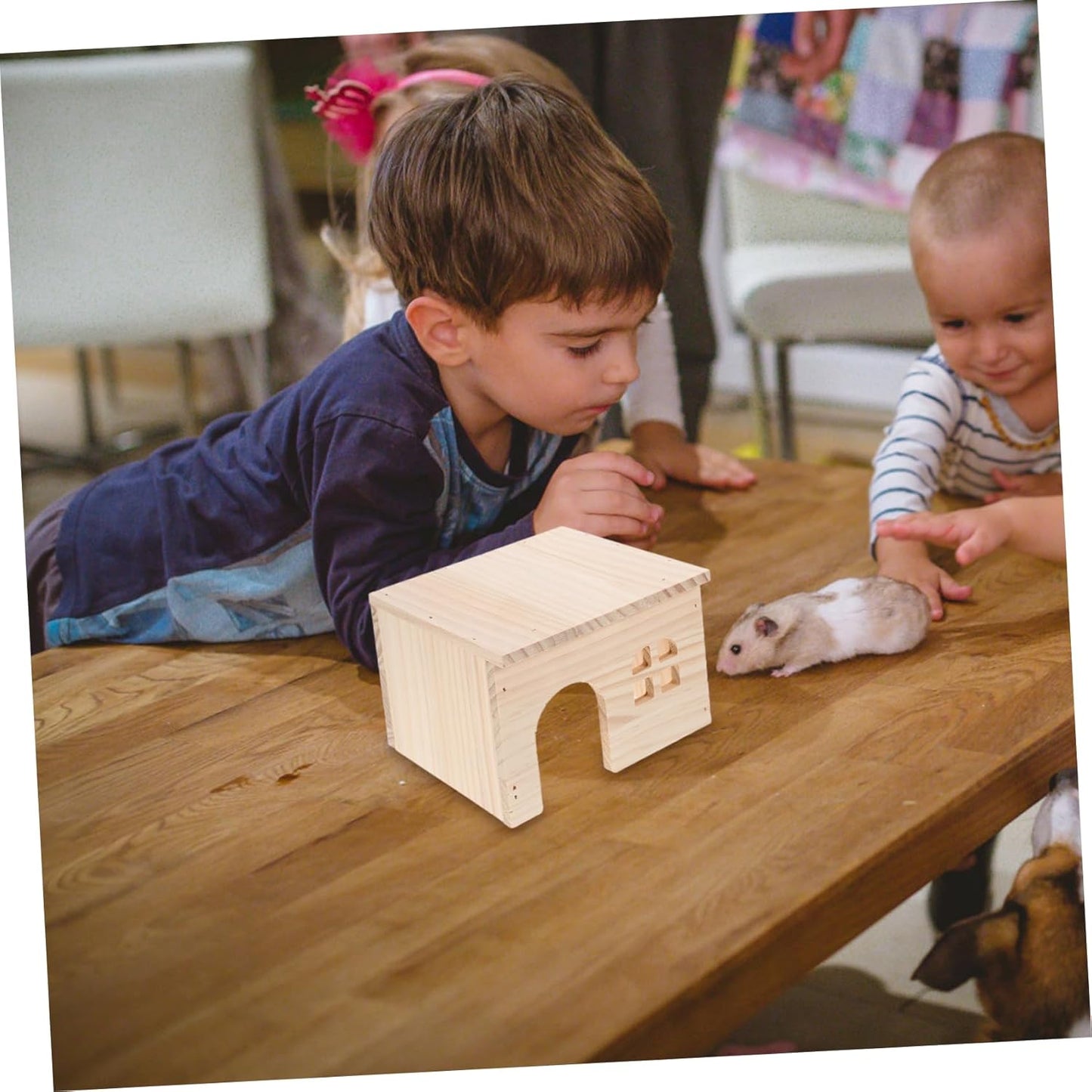 TOYANDONA Hamster Hiding and Feeding Platform Natural with Integrated Feeding Watering Areas Escape Design for Hamsters Chinchillas and Small Pets