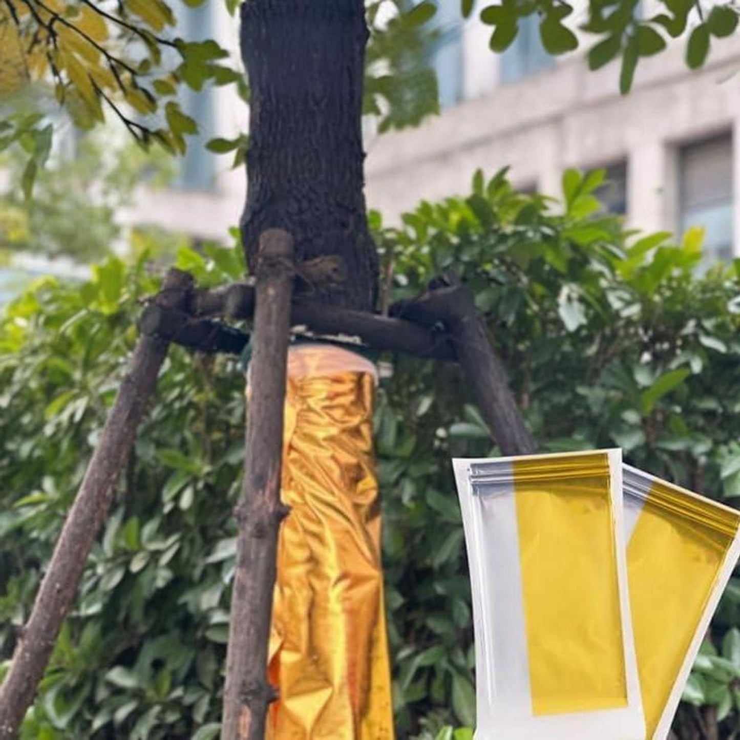 6 Pieces Highly Reflective Plant Growth Mylar Garden Greenhouse Covering Foil for First Aid Blankets, Grow Rooms, Camera Reflectors, Tents Outdoor Emergency (Gold, Silver)