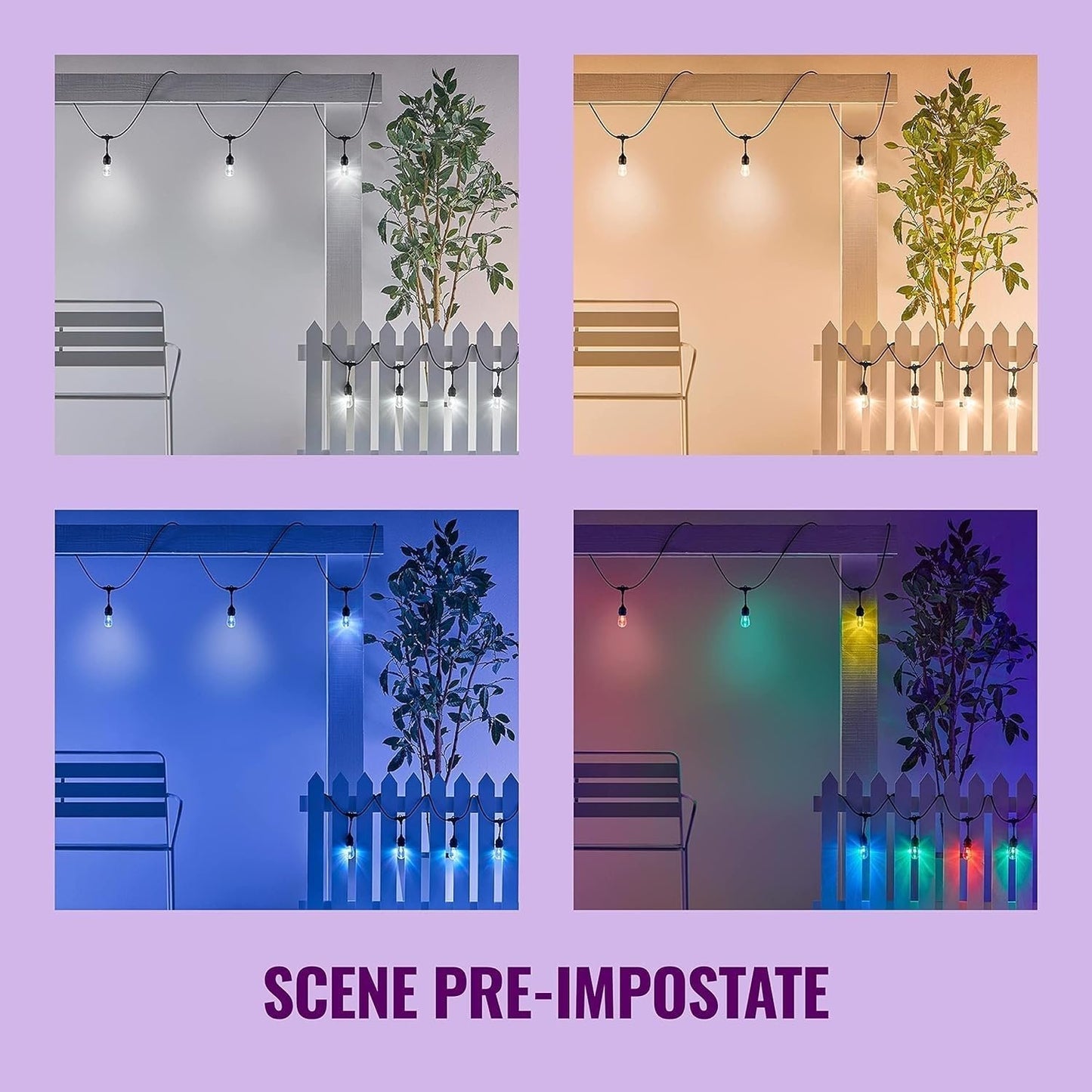 Wiz Outdoor String Light