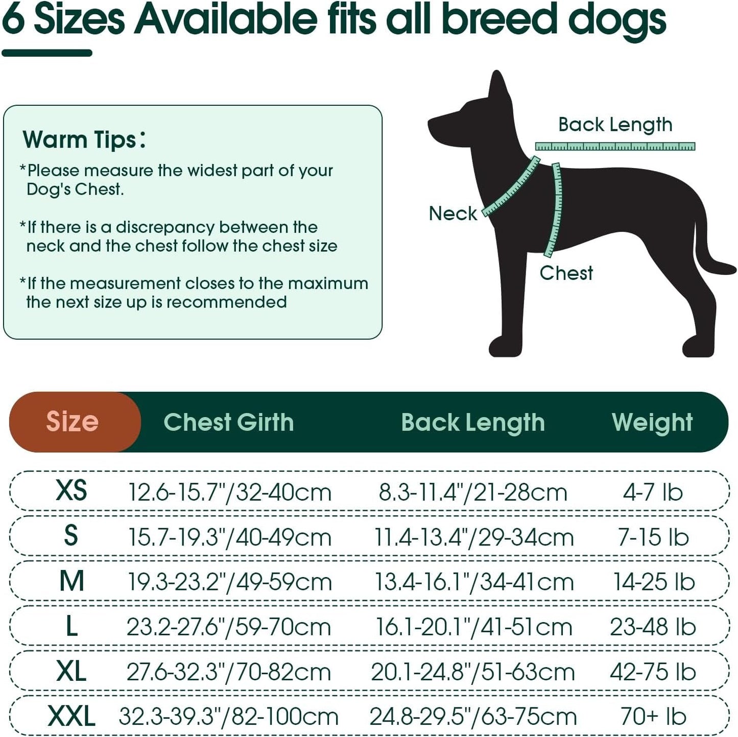 Kuoser - Rehabilitation Suit for Dogs and Cats, Suit for Recovery After Surgery or Abdominal Wounds, Professional Pet Clothes One Piece Suit