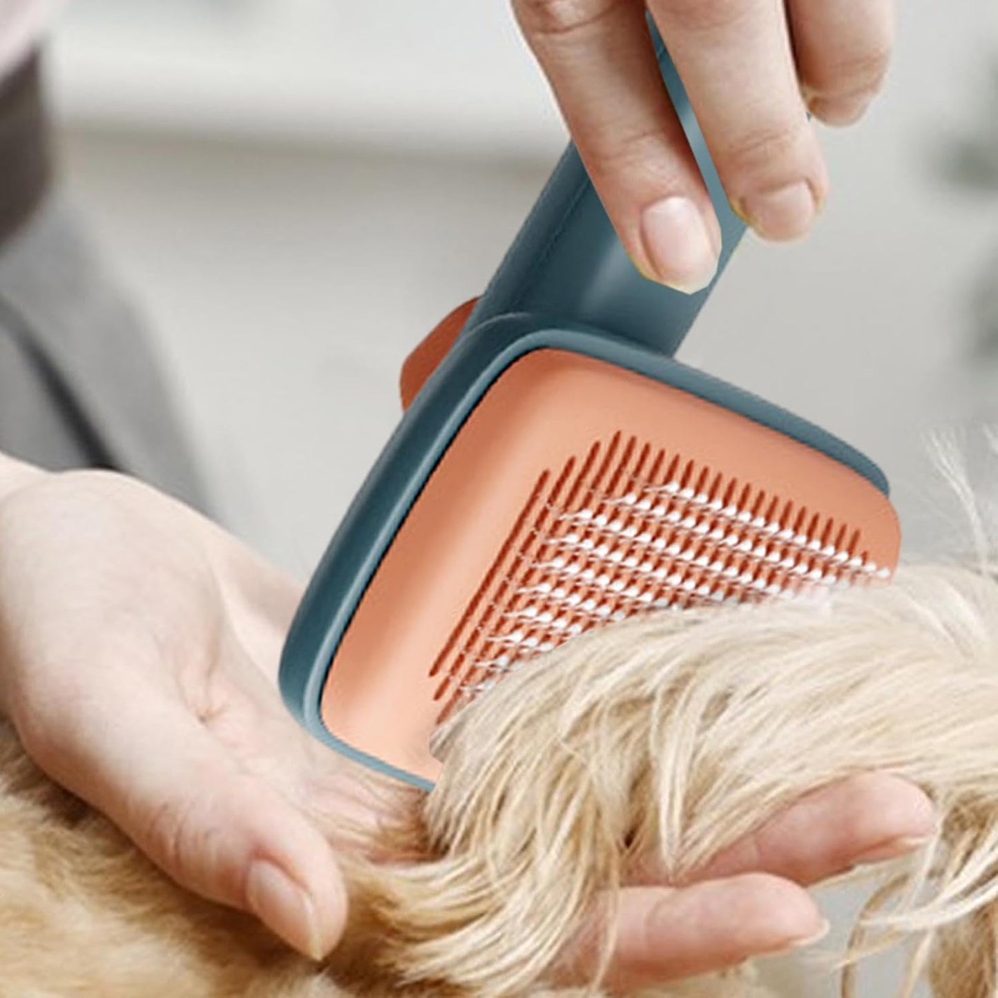 Pennello per gatti per tacco capelli corti, spazzola per capelli di gatto – Spazzole per gatti per interni | Pet Cleaner -Massaging – Cura degli attrezzi fornisce pettine regolabile spazzola per