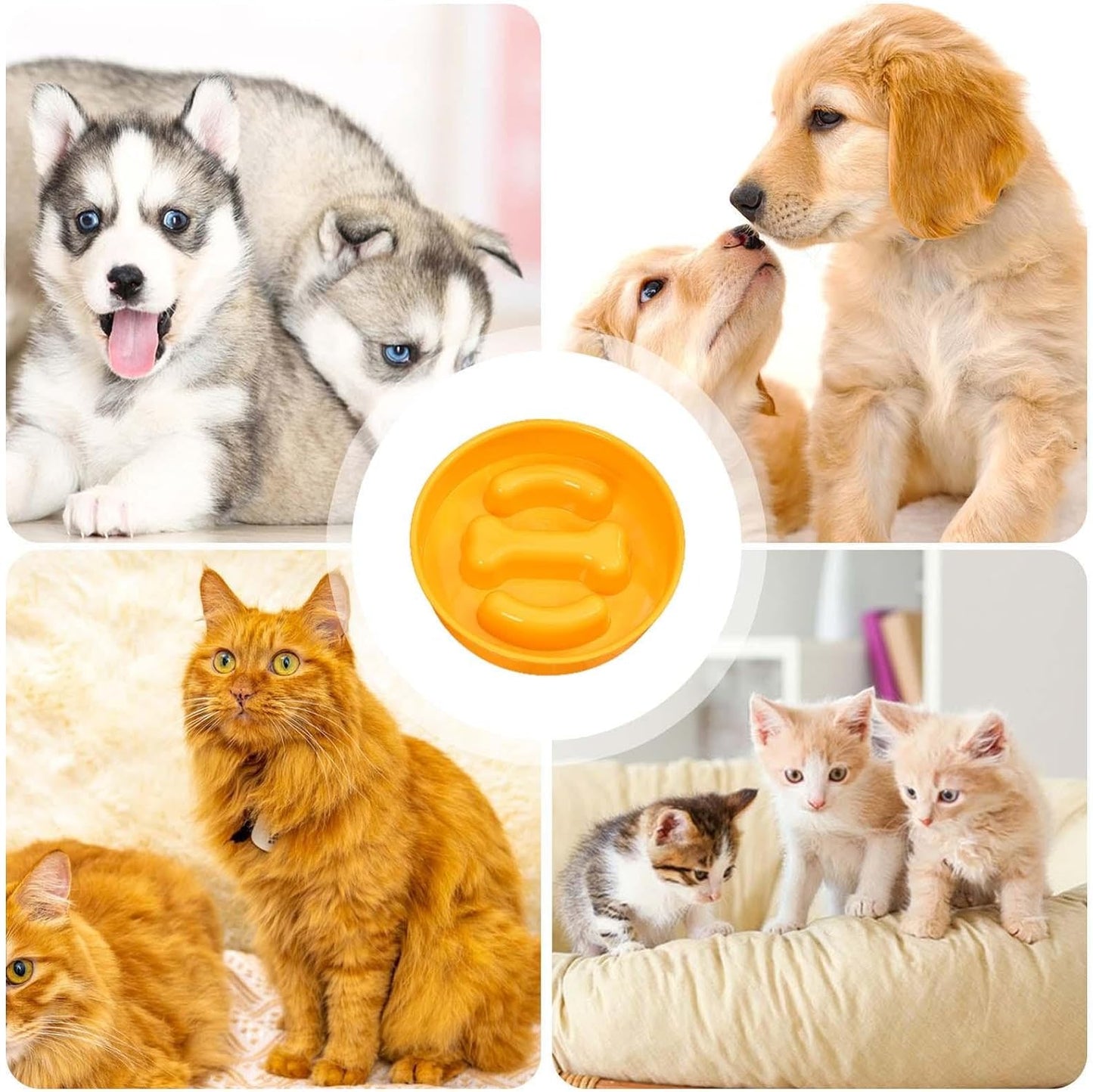 Vbnuyhim Ciotola lenta per gatti, irrigazione e alimentazione lenta, anti-soffocamento, per animali domestici, base antiscivolo, per mangiare sano, per pollo a dadini, manzo a scatti