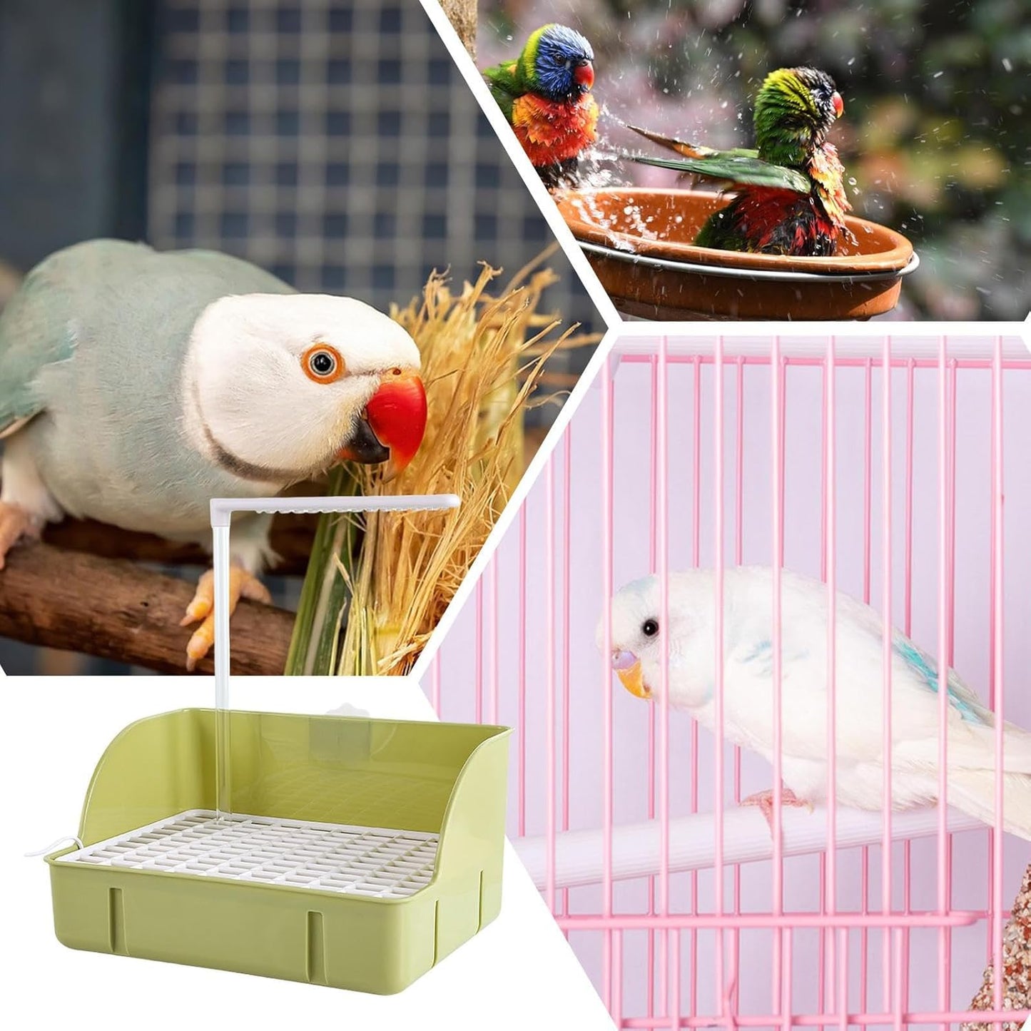Automatic Water Circulation Parrot Shower, Electric Bird Bathtub, Multi-Purpose Bathing Station with Gentle Flow Peonies, Medium Parrots, Budgies, And Parakeets, 20.5cm Green White