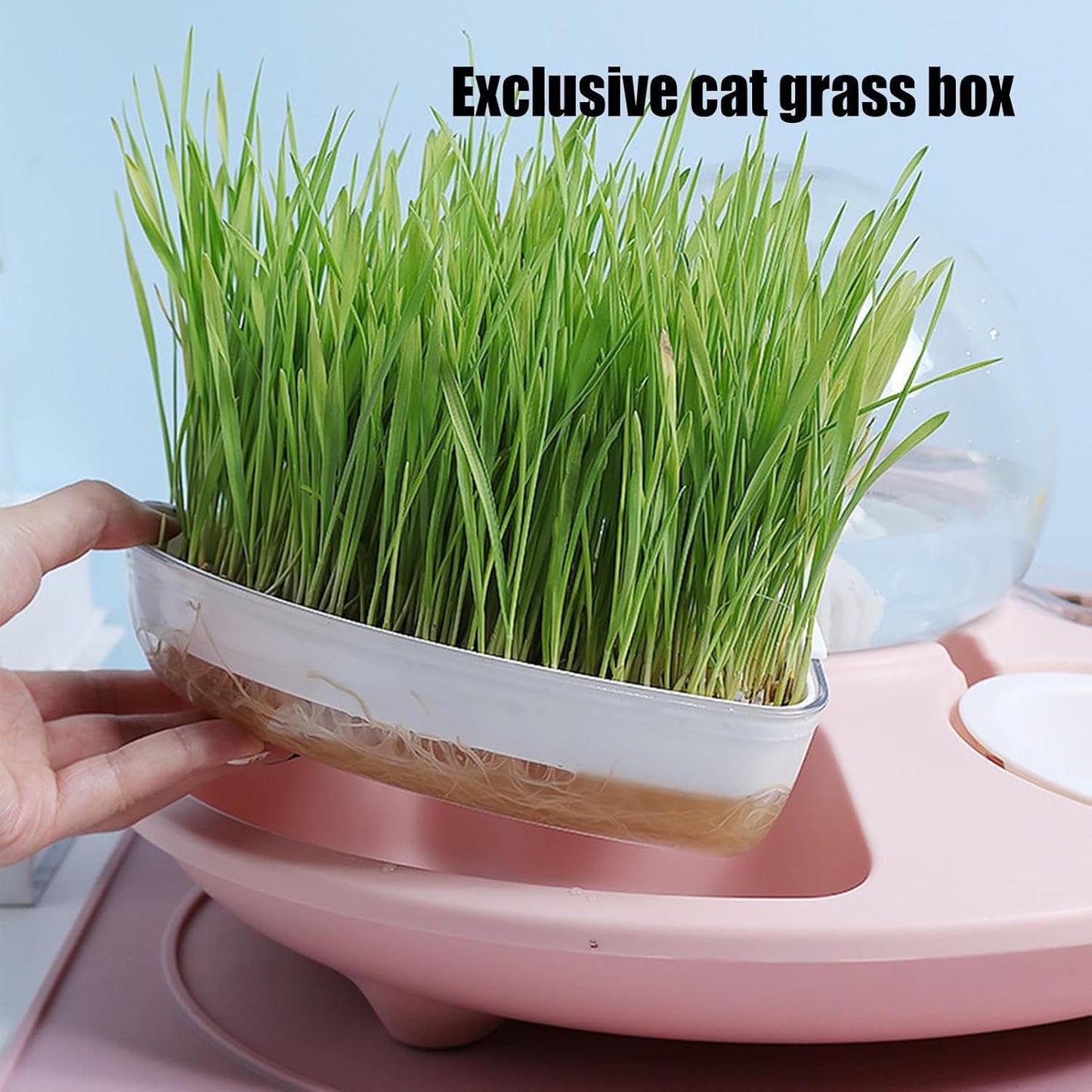 Food Bowl for Cats,Kitten Watering Bowl | Kitten Feeder Multifunctional for Home, Anti-Slip Pet Feeding Watering Dish