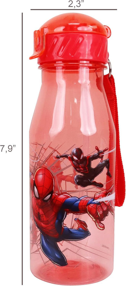 Danawares Spider-Man Kids Water Bottle with Dome Lid and Straw 550 ml
