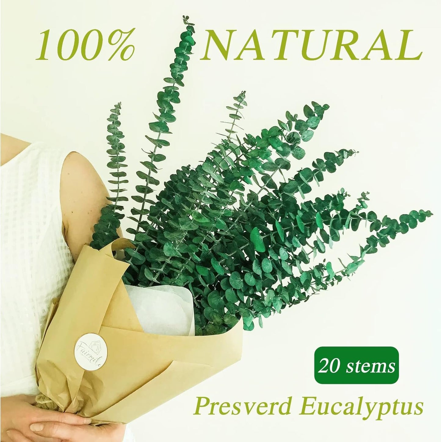 20 Pcs Preserved Dried Eucalyptus Stems, 17" Natural Fresh Eucalyptus Bundles for Shower, Real Plant for Vase Filler, Dried Flowers Arrangement, Home Decor