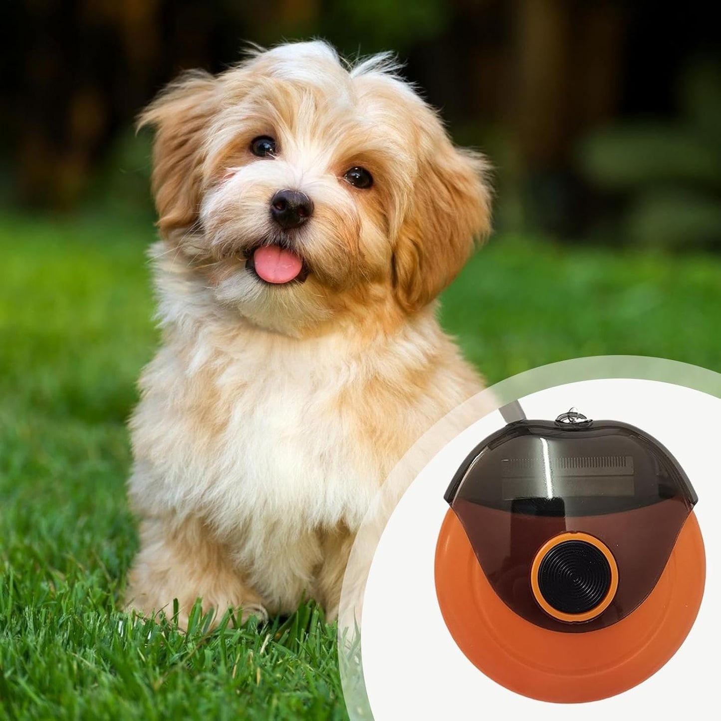 Spazzola per capelli per cani forforfora | Piccole spazzole per capelli per gatti - Pettini multifunzionali per animali domestici, attrezzi per la cura dei cuccioli portatili per gatti Demating