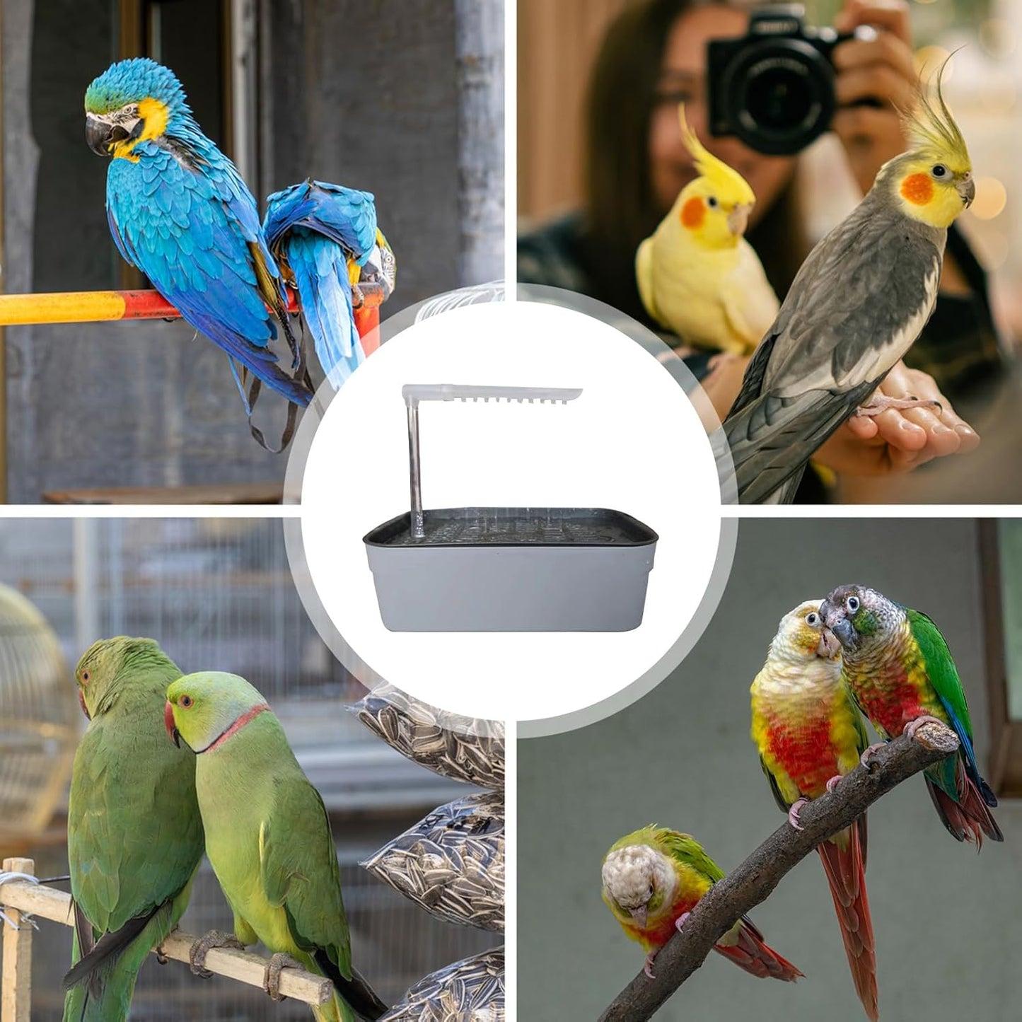 Parrot Bathtub, Automatic Bird Shower Station, Usb Powered Pet Bath Tub with Fountain Spray, Interactive Cage Bathing Toy for Small Medium Breeds, for Aviary, Garden, Outdoors