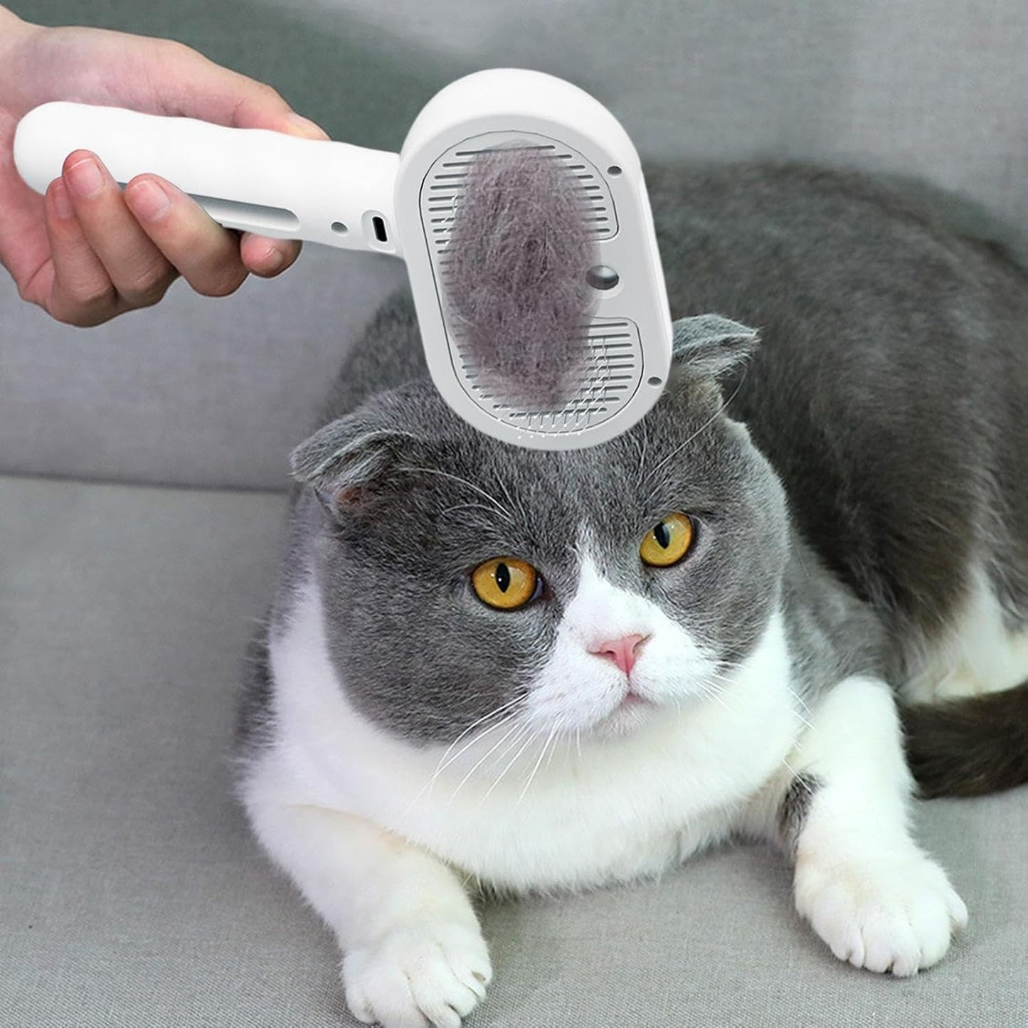 USB Rechargeable Spritz Defur Comb for Cats, Pet Hair Remover Brush, 35ml Water Tank, Indoor Cat Grooming Tool, Dog Hair Remover, Pet Spray Depilatory Comb