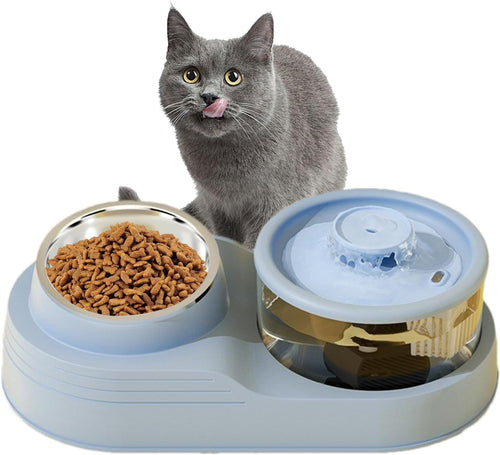 Nuhjytgf Automatic Dog Feeder - Cat Feeding Station | Anti Slip Base, Removable Pet Feeding and Watering Supplies for Cattery Management