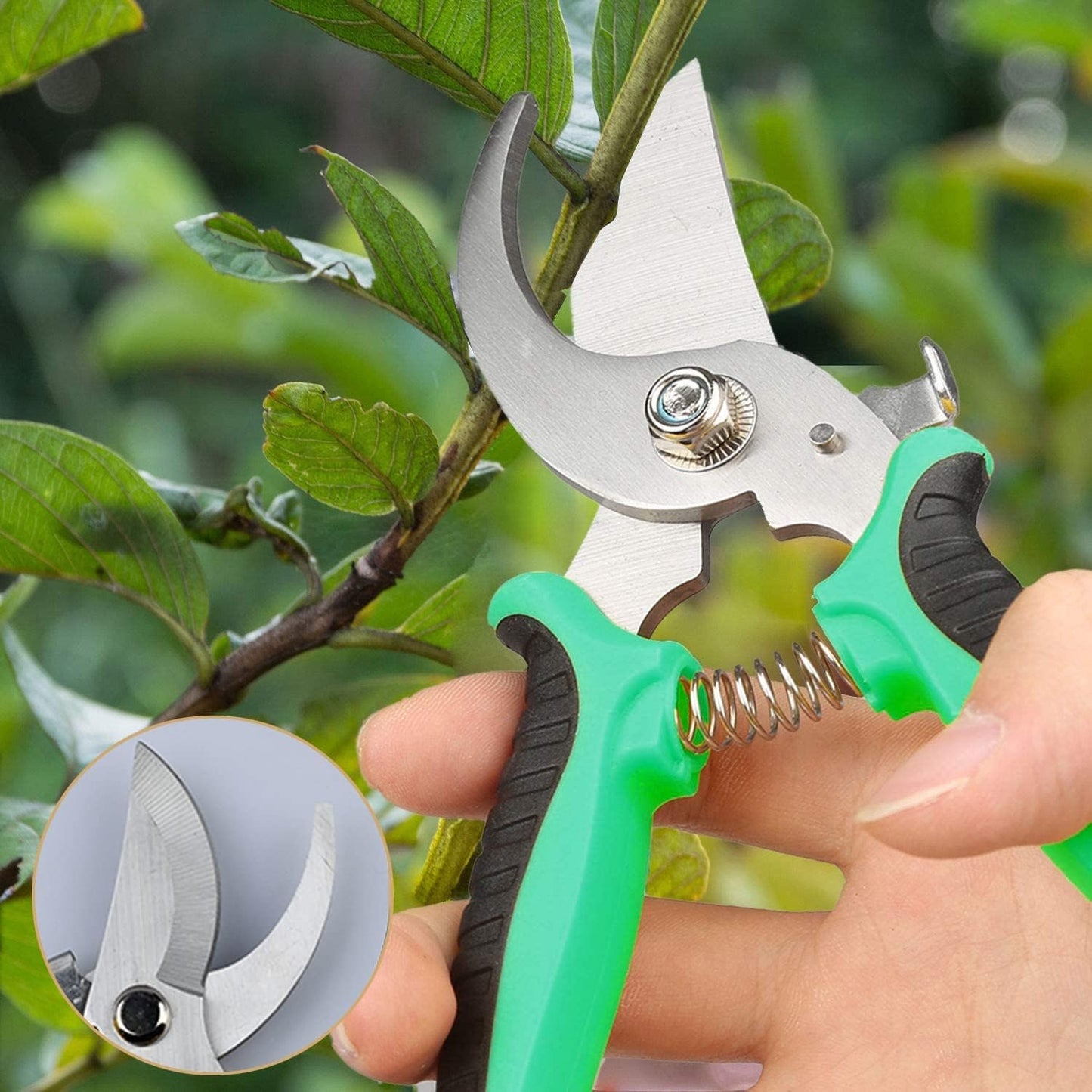 3 Pack Pruning Shears Set, Stainless Steel Garden Clippers with Safety Lock, Professional Shock-Absorbent Hand Garden Shears for Flowers and Small Garden (Red、Yellow and Green)