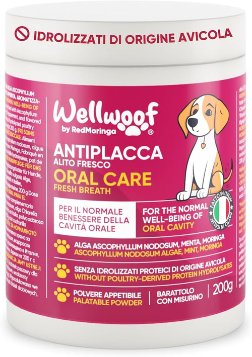 Wellfoof Dog Teeth Cleaning Supplement | Powder Supplement for Tartar Removal Dog | with Algae Ascophyllum Nodosum (75%), Moringa and Peppermint | Without Artificial Additives | 200 g