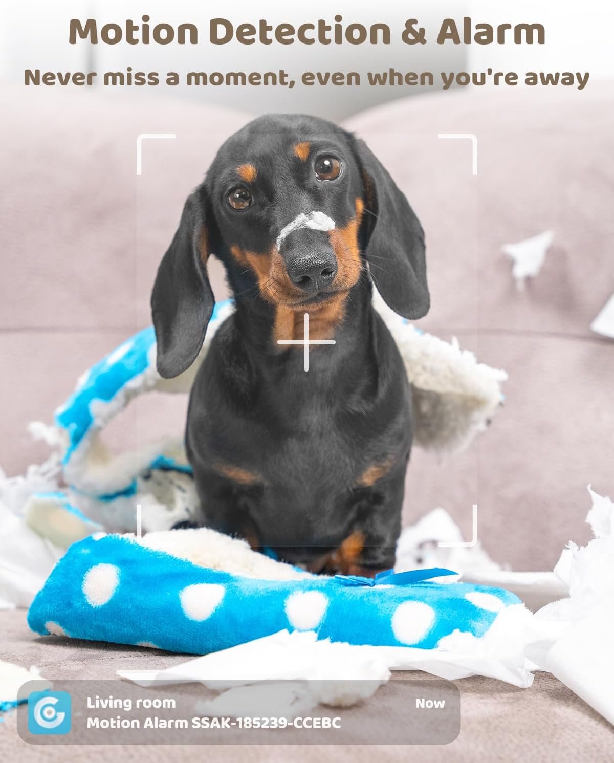 GENBOLT 2K Pet Camera, WiFi Security Camera Indoor,Home Surveillance IP Camera CCTV with Humanoid Detection, Auto Cruise Dog Cam with Audio Alarm