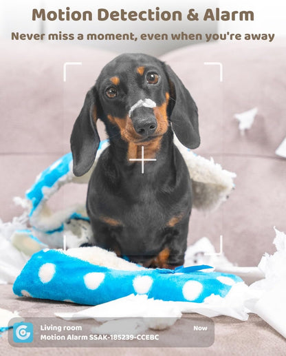 GENBOLT 2K Pet Camera, WiFi Security Camera Indoor,Home Surveillance IP Camera CCTV with Humanoid Detection, Auto Cruise Dog Cam with Audio Alarm