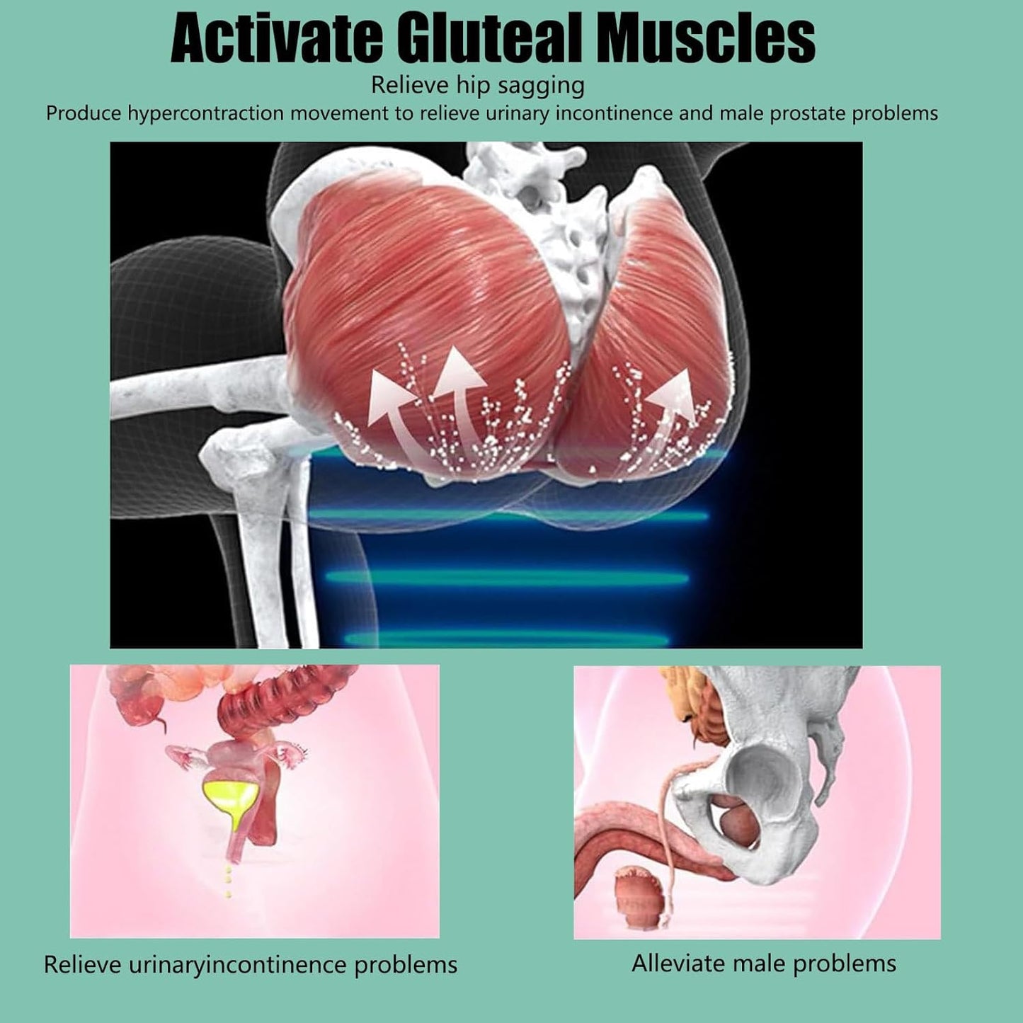 WTSFEUJL Strumento di Riparazione Muscolare del Pavimento Pelvico,Recupero Postpartum Rinforzante del Pavimento Pelvico per Il Recupero Postpartum,Persone Sedentarie,Glutei Piatti