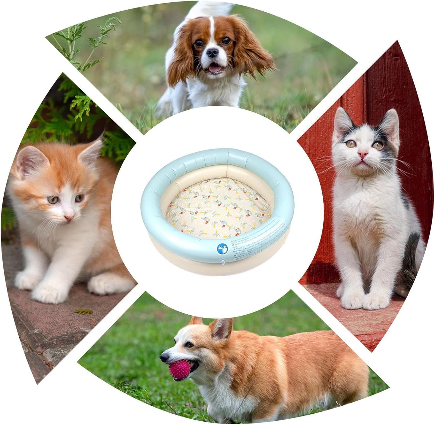 Dog Pool, Folding Tub, 31.5x31.5x9.84 Inch Foldable Bathtub & Inflatable Rim, Portable Pet Basin Design for Outdoor Backyard Use, Ideal Washing Spot to Puppies Small Medium Indoors