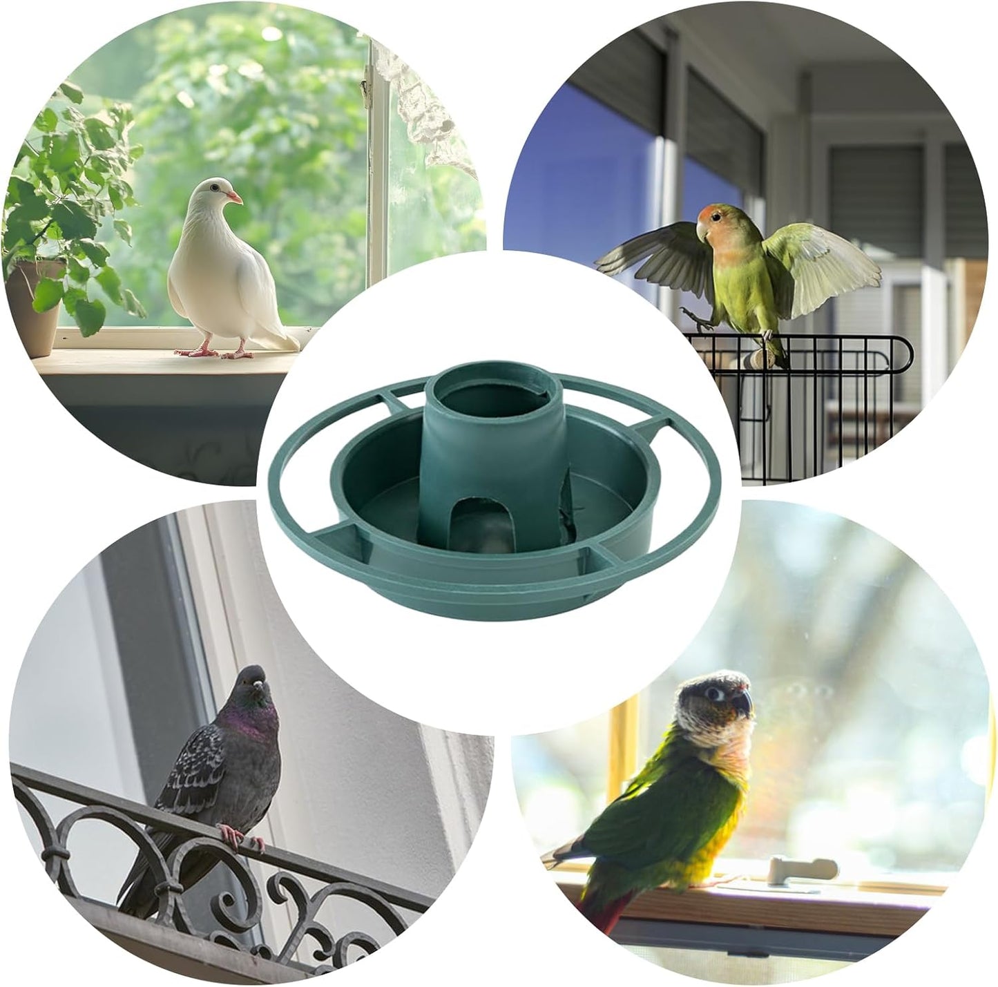 Outdoor Bird Feeder | Parrot Watering Bowl | Parrot Watering Container for Lawn Patio Backyard, Hangable Parakeet Feeding Bowl