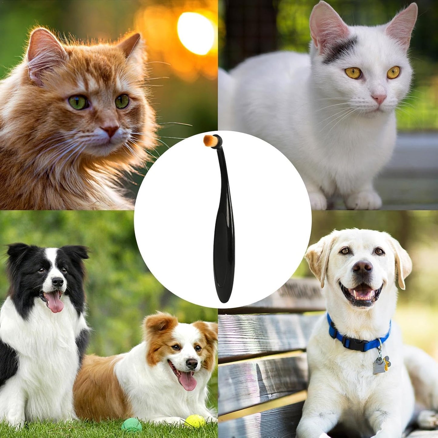 Tear Stain Brush, Dog Tear Stain Remover, Comfortable Pet Eye Clean Brush, Pets Grooming Comb, Fiber Cat Tear Stain Brush, Tear Mark Cleaning Comb, Easy Eye Hygiene Brush For Pets Dogs Cats
