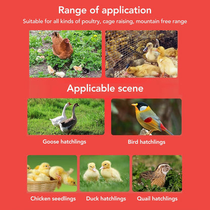 Chick Feeder and Drinker Kit, Easy Clean Plastic Automatic Feeding and Watering Feeder for Chicks