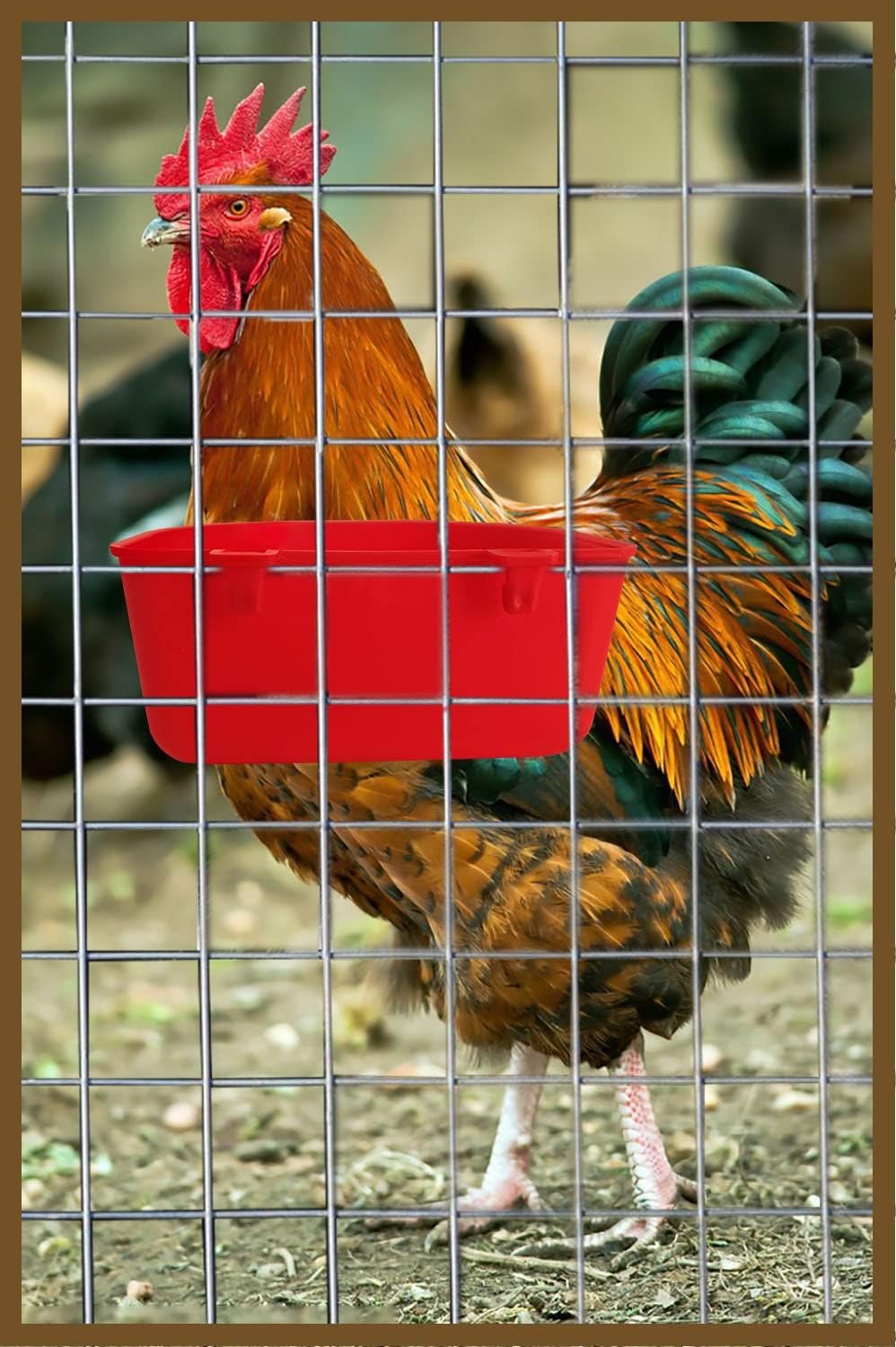 ORIBUKI 5 Pack Cage Cups Chicken Birds Feeder Water Bowl 25 OZ Rabbit Feeding Watering Dish for Travel Carrier Cat Puppy Food Dispenser Hanging Wire Cages Treats Box Seed Drinking Coop Cup Birdbath