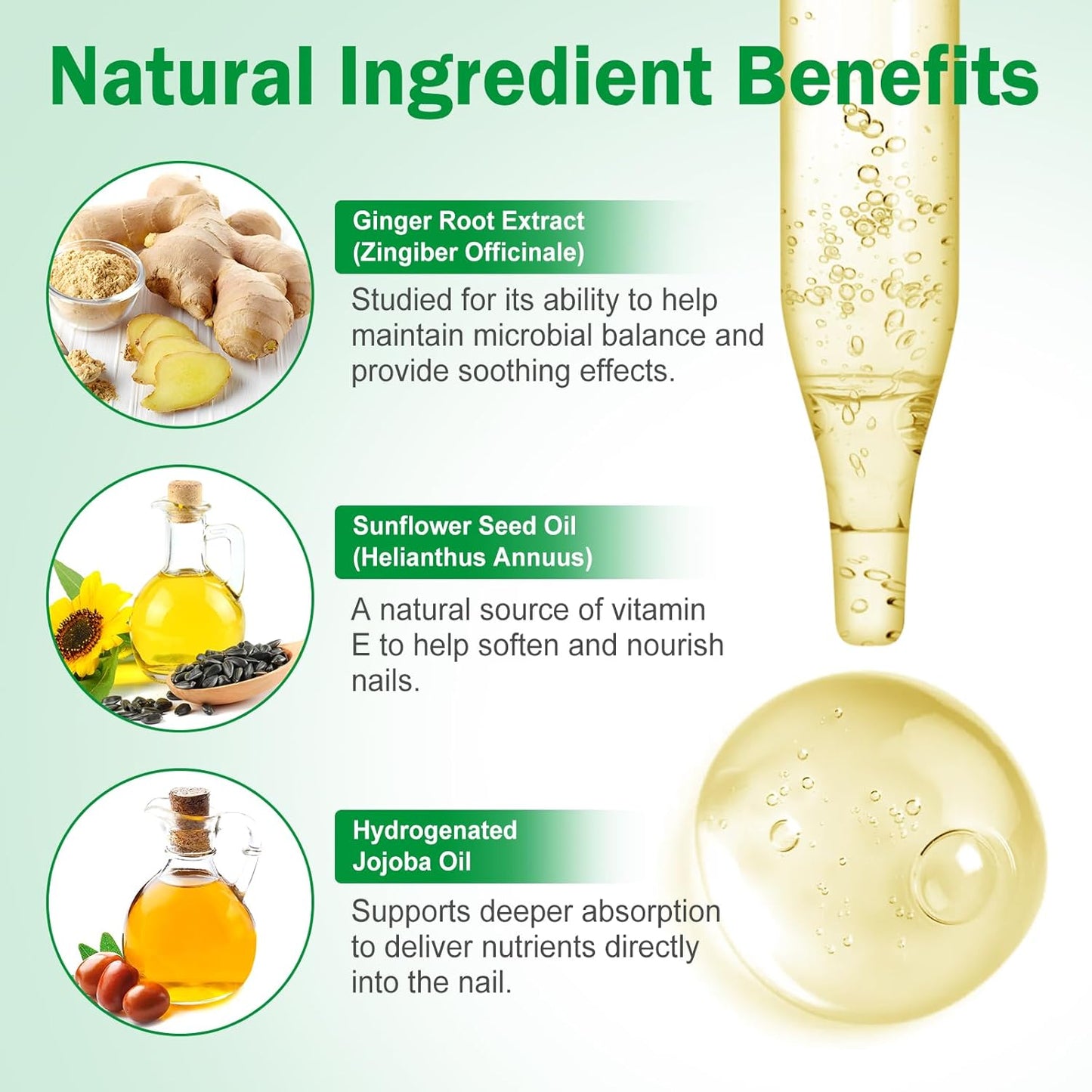 7 Day Nail Fungus Treatment | Natural Plant-Based Nail Repair Oil with Ginger Extract | Strengthens & Nourishes Nails & Cuticles | Repairs Discolouration & Brittleness | Suitable for Hands & Feet | 60mL