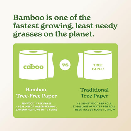 Caboo Tree Free Paper Towels, 6 Rolls, Earth Friendly Sustainable Kitchen Paper Towels with Strong 2 Ply Sheets