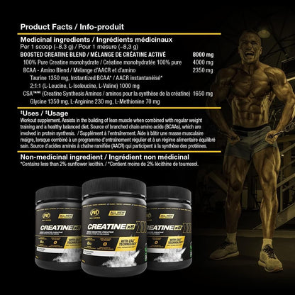 PVL Creatine X8 - Advanced Creatine Multiplier - creatine monohydrate powder + Amino Acid Supplement - 249 g - 30 Serving