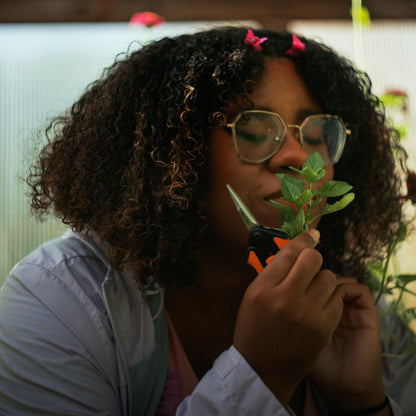 Fiskars Softouch Micro-Tip Pruning Snip, Non-Coated Blades, Orange/Black (399240-1003)