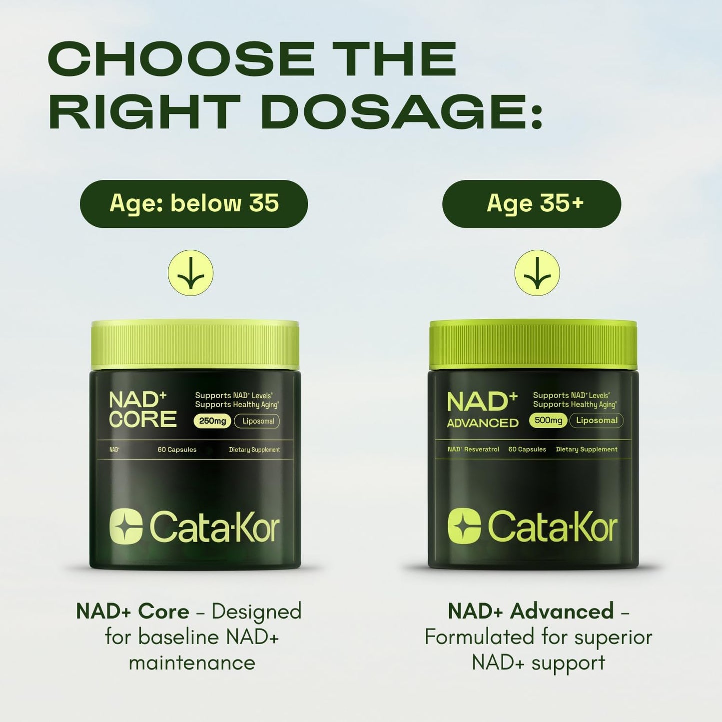 NMNH Supplement Alternative - Liposomal NAD CORE LipoNAD 250mg - 30-Day Supply - High Purity NAD Supplement for Anti-Aging, Energy, Focus - 60 Capsules
