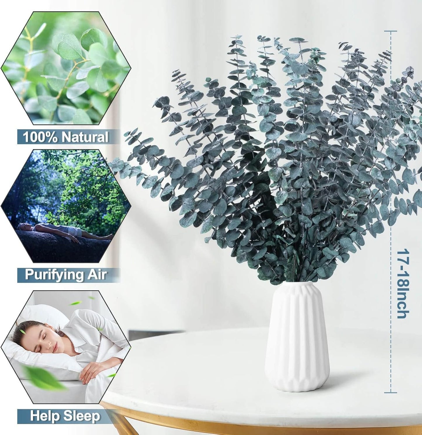 Preserved Dried Eucalyptus Stems Bundle - 12 PCS Blue Eucalyptus for Shower, 17" Natural Eucalyptus Bundle Real Greenery Fresh Leaves Plants, Aromatherapy SPA, Wedding Arrangements, Home Decor