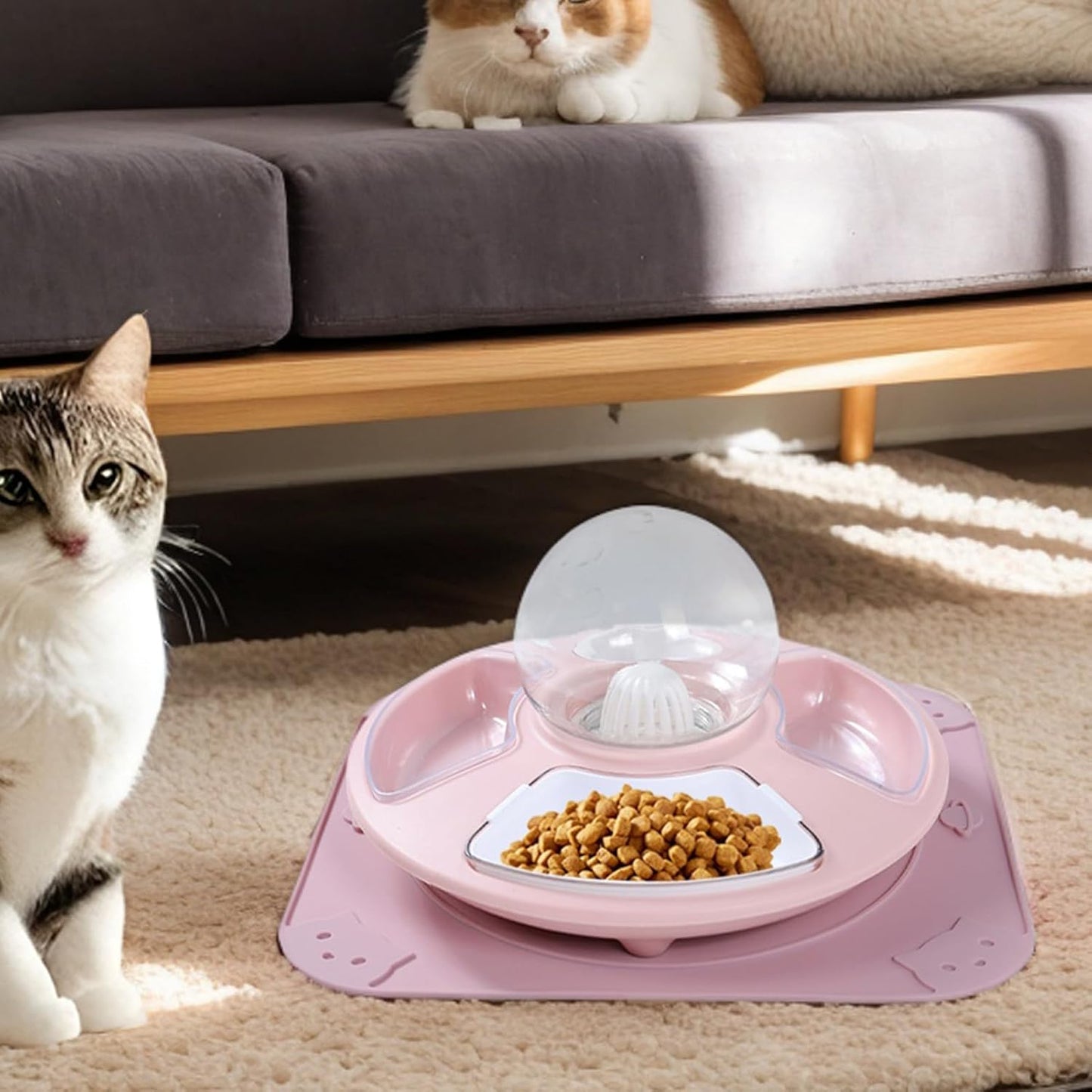 Cat Food Bowl | Kitten Watering Bowl,Kitten Feeder Multifunctional for Home, Anti-Slip Pet Feeding Watering Dish