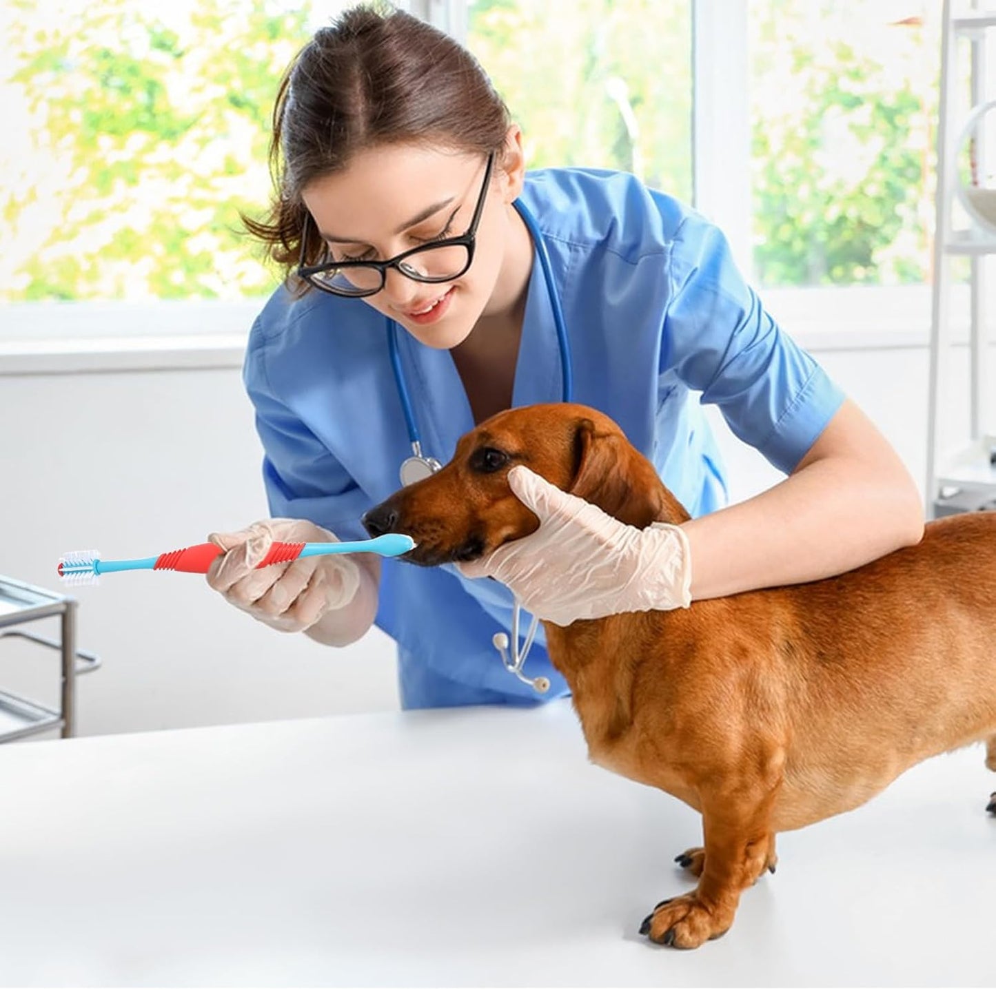 Sprofondimi di denti per cani - Spazzo da dente cucciolo a doppia testa | PROPRIETÀ DI CARE DENTALE PET | Strumento di pulizia multi-pet per la salute orale | Ideale per la toelettatura da esterno per