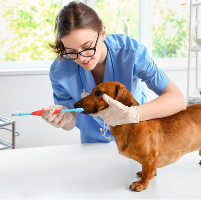 Sprofondimi di denti per cani - Spazzo da dente cucciolo a doppia testa | PROPRIETÀ DI CARE DENTALE PET | Strumento di pulizia multi-pet per la salute orale | Ideale per la toelettatura da esterno per