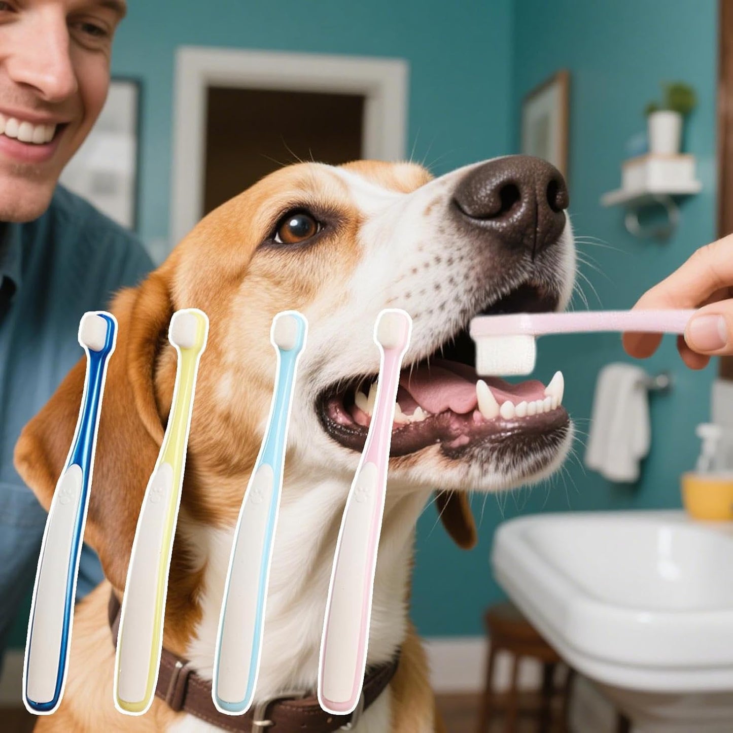 Spazzolino da denti per gatti, spazzolini da denti a cani - 4x spazzolino da denti gatto,Pet Care Oral Fornitura a testa larga Kit di spazzolatura dei denti per setole per cucciolo esterno interno