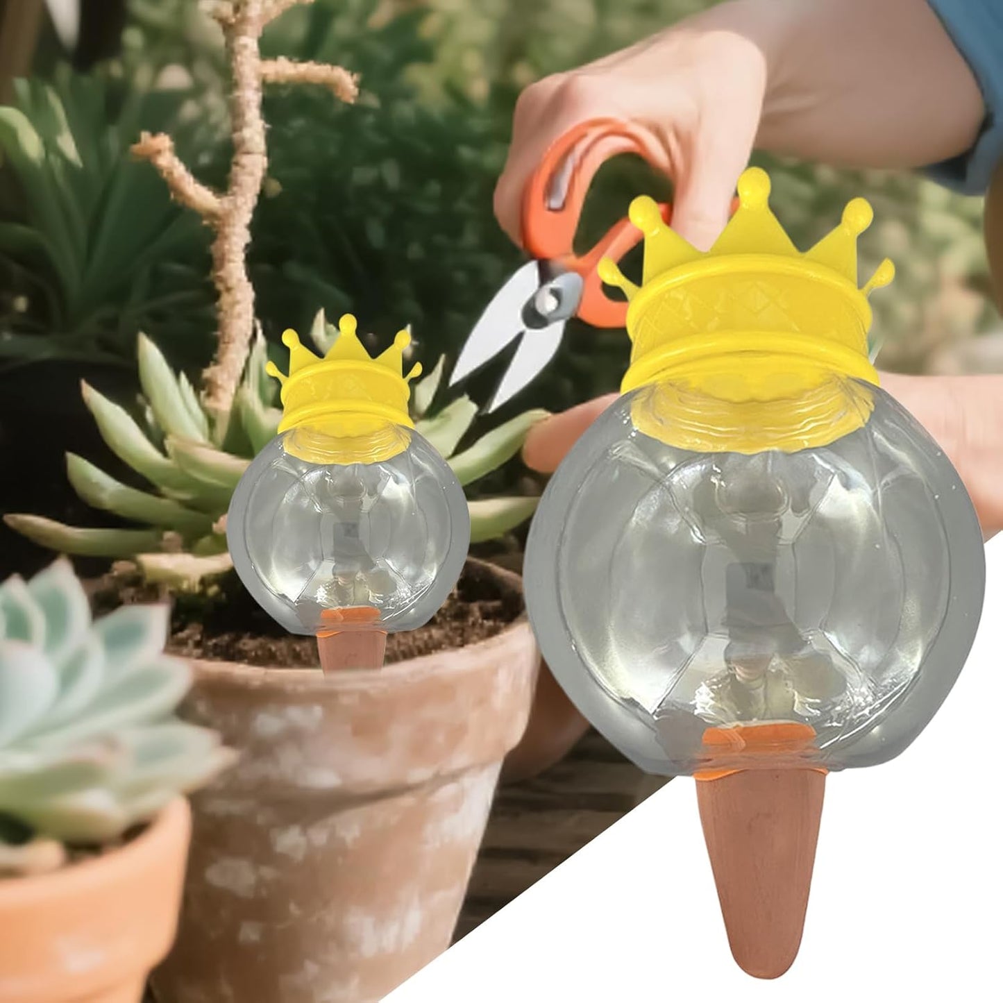 Plant Watering Devices – Self Watering Feeding System and Self-Watering Globe | Automatic Drip Irrigation Tool for Indoor Outdoor Plants, Succulents, and Garden Use (2-Pack)