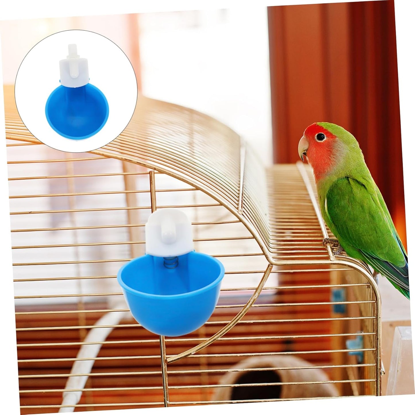 TOYANDONA 5 Pezzi Tazza Abbeveratoio per Pollame da Design Resistente e Compatto per Galline e Uccelli Materiale e Facile da Utilizzare