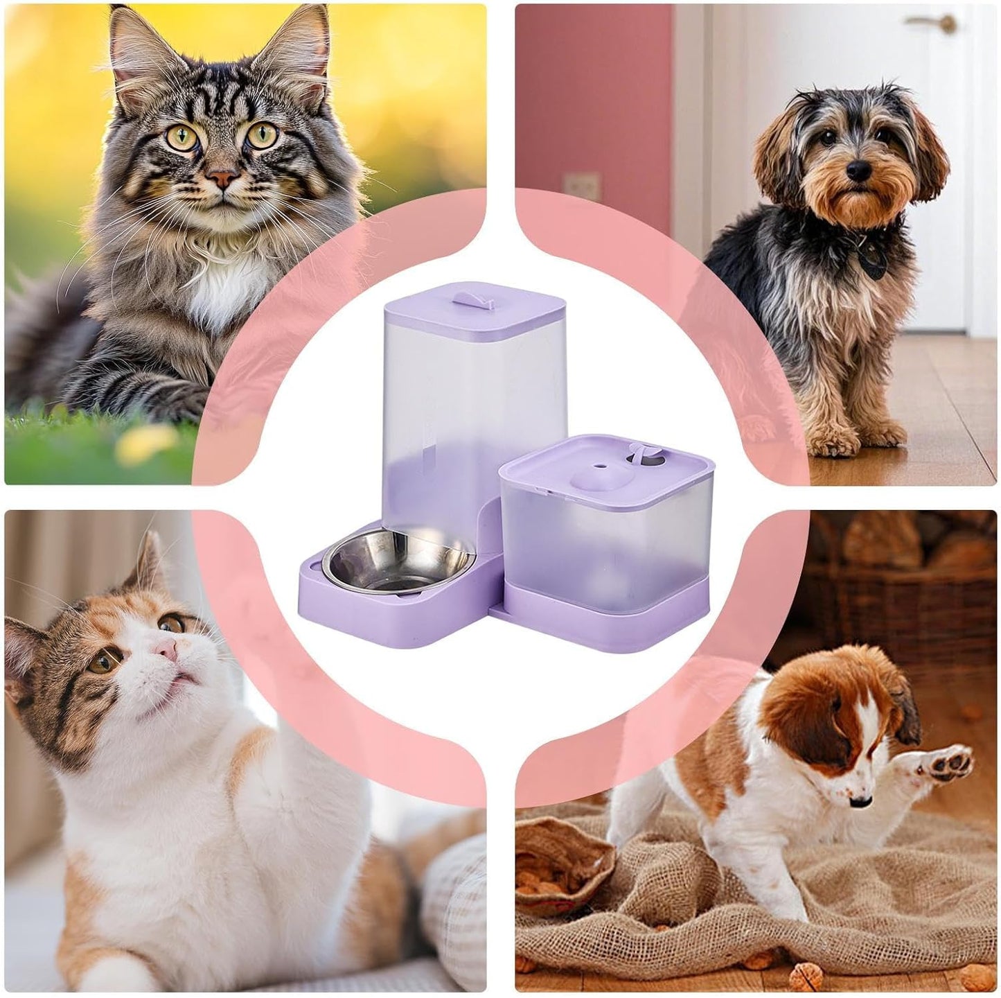 Automatic Pet Feeder,Dog Food Dispenser Automatic Feeder - Drinker Waterer Large Capacity Pet Supplies, Storage Container for Kitten Puppy Feeding Watering