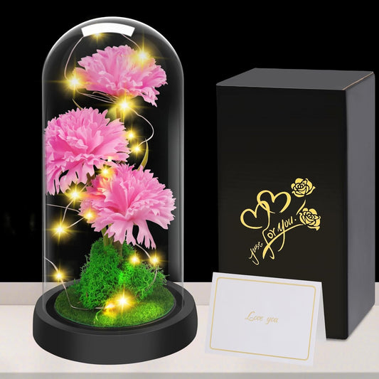 Touloube Mother's Day Gift Carnation Flowers for Women, Clove Flower in Glass Dome, Anniversary Gift, Birthday, Healing, Artificial Flower Gift for Women Mom Wife