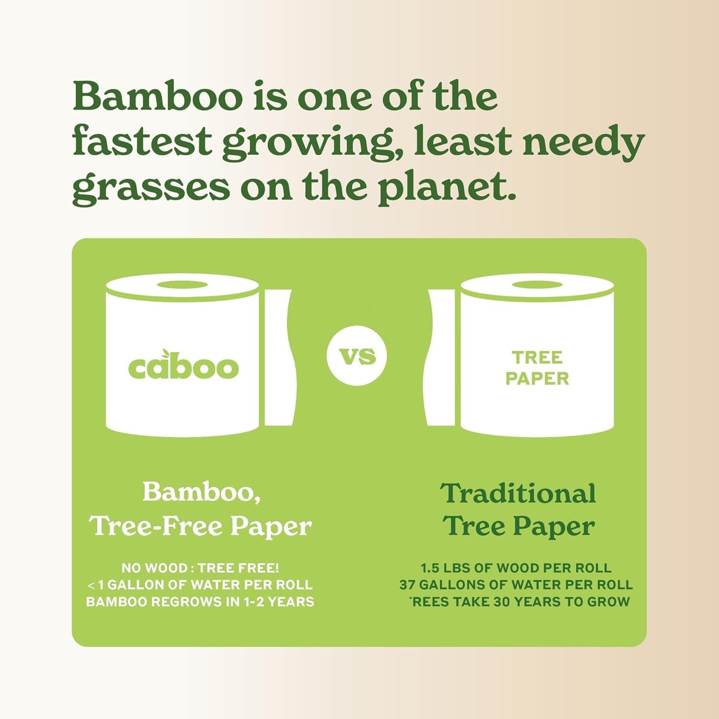 Caboo Tree Free Paper Napkins, 4 Packs of 250, 1000 Total Napkins, Eco Friendly, Sustainable, and Disposable Kitchen Napkins