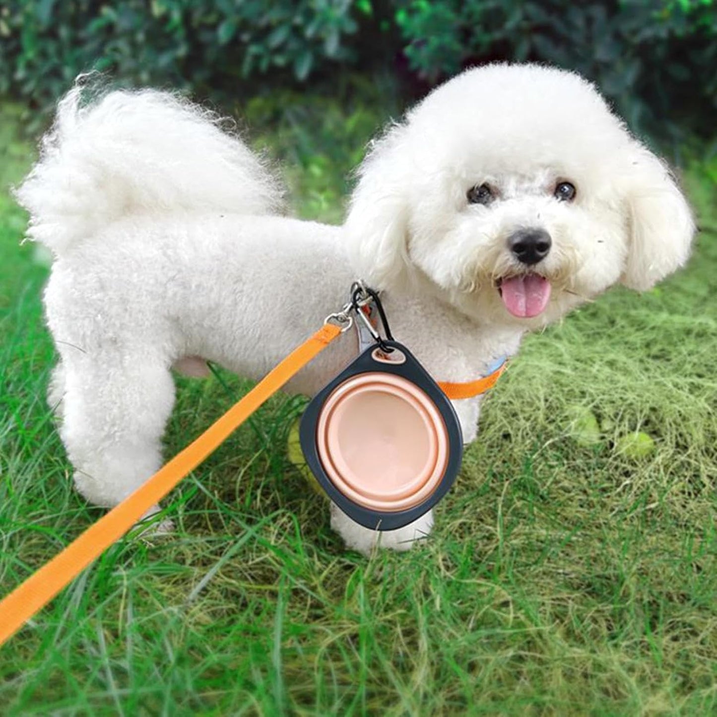 Foldable Dog Bowl - Silicone Dog Bowls | Portable Water Bowl Folding Dish | Water-Resistant Dog Pet Feeding Watering Dish with Carabiner Clip, Feeding Supplies for Outdoor Traveling Hiking Walking