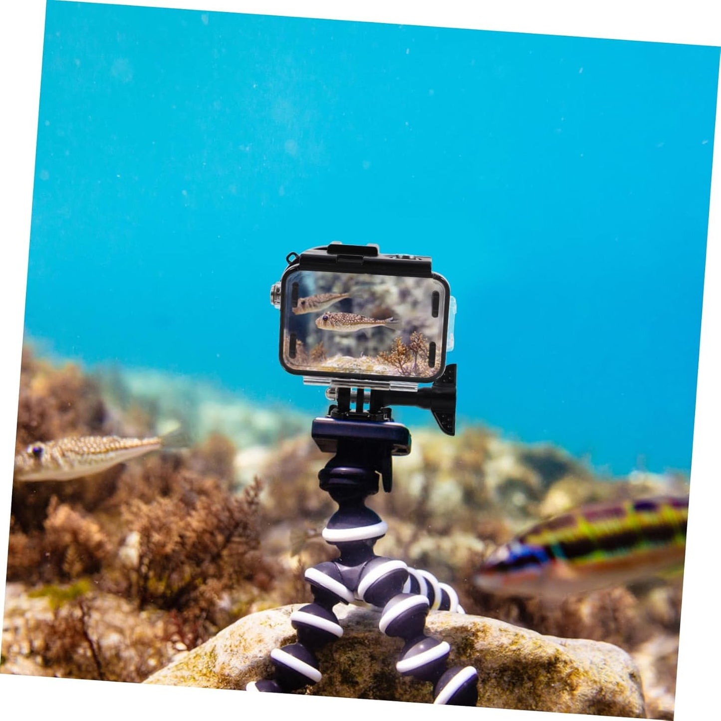 COHEALI Transparent Camera Case with Dual Cold Shoe Mounts Durable Protection for Digital