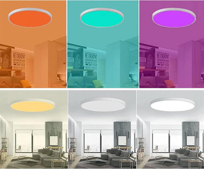 24W WiFi Smart Ceiling Light Fixture Ultra-Thin with Alexa Google Home Voice Control 220V Dimmable Light Fixtures 3000K-6500K Color Temperature for Bedroom Living Room Modern Style (Black)