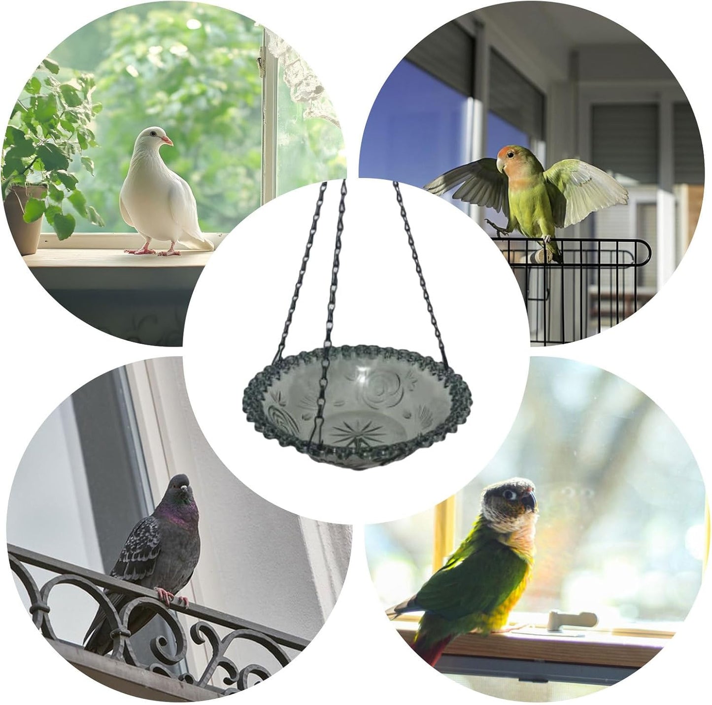 Mangiatoia per uccelli, piccola vaschetta per uccelli, per animali domestici per mangiare in piscina, padiglione mattutino, cortile, graticcio, terrazza, esterni, gabbia interna