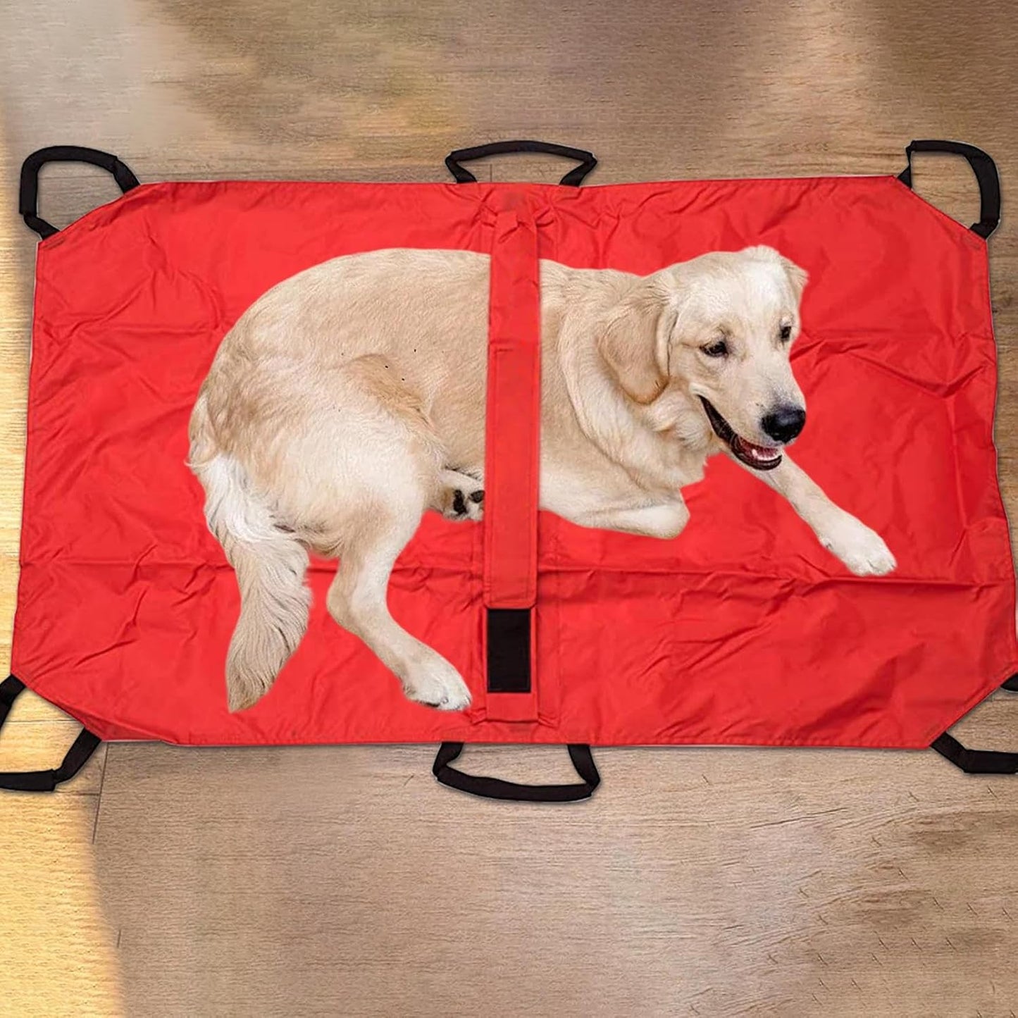 Pet Stretcher, Transport Stretcher Puppy, Multifunctional Foldable Patient Transfer Rescue Tool with Safety Strap for Medium Large Dogs Cats Bunny Pets, Portable, 120x74x3cm